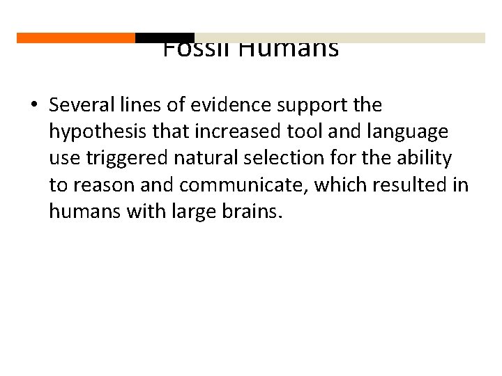 Fossil Humans • Several lines of evidence support the hypothesis that increased tool and