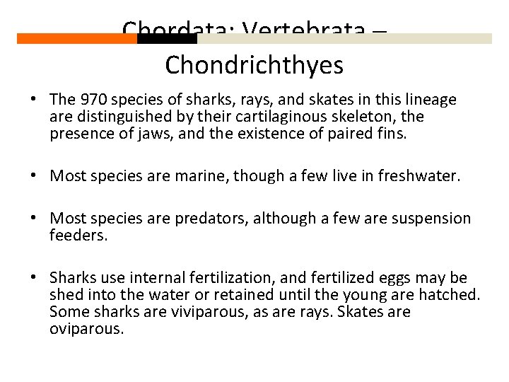 Chordata: Vertebrata – Chondrichthyes • The 970 species of sharks, rays, and skates in