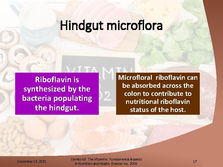 Hindgut microflora Riboflavin is synthesized by the bacteria populating the hindgut. December 18, 2021