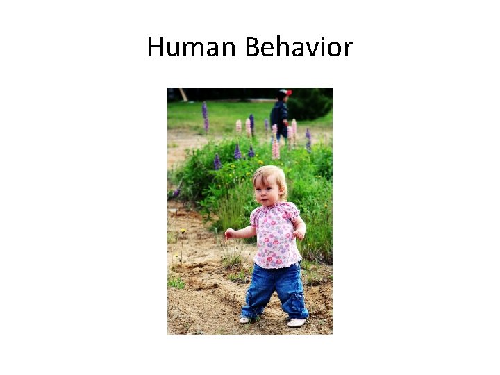 Human Behavior 