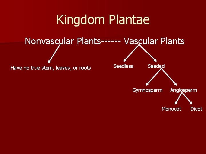 Kingdom Plantae Nonvascular Plants------ Vascular Plants Have no true stem, leaves, or roots Seedless