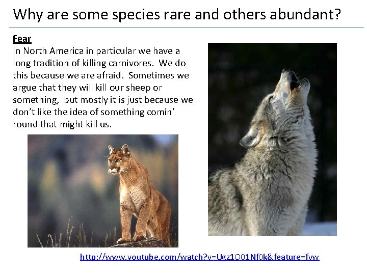 Why are some species rare and others abundant? Fear In North America in particular