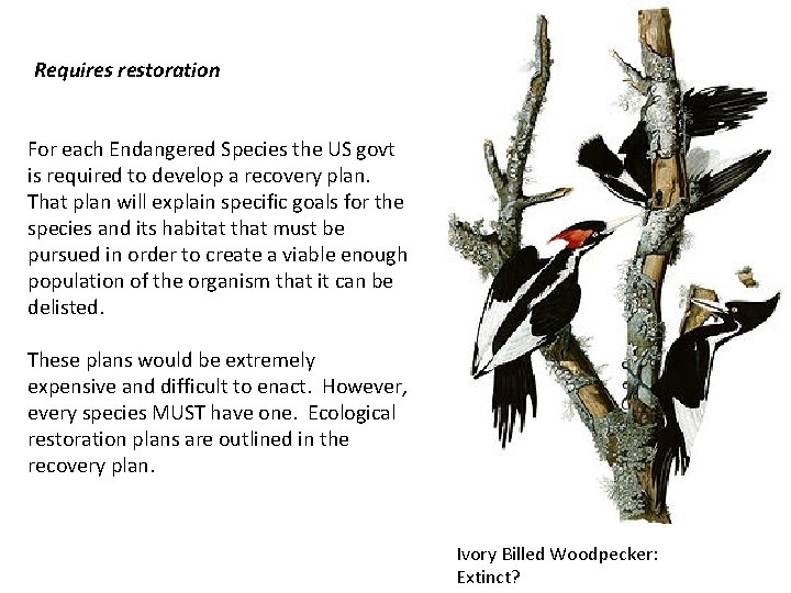 Requires restoration For each Endangered Species the US govt is required to develop a