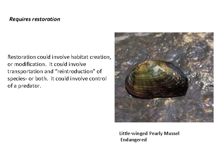 Requires restoration Restoration could involve habitat creation, or modification. It could involve transportation and