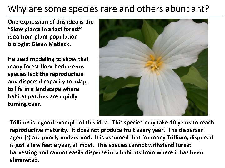 Why are some species rare and others abundant? One expression of this idea is