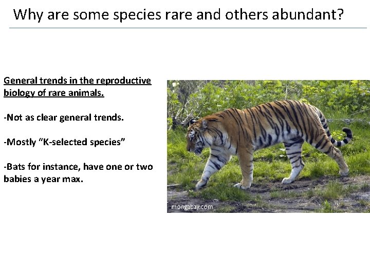 Why are some species rare and others abundant? General trends in the reproductive biology