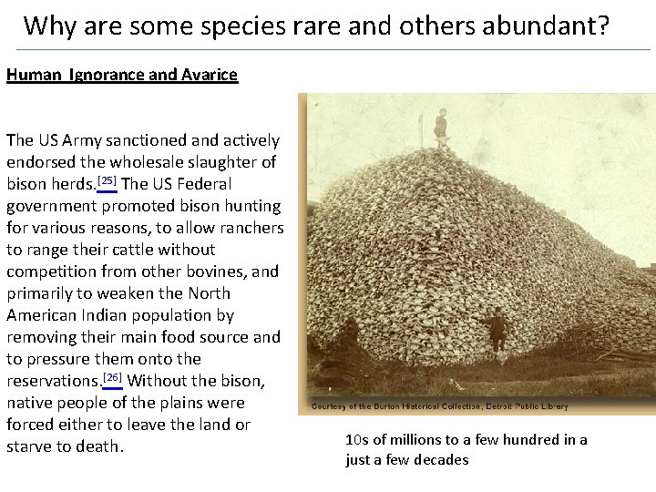 Why are some species rare and others abundant? Human Ignorance and Avarice The US