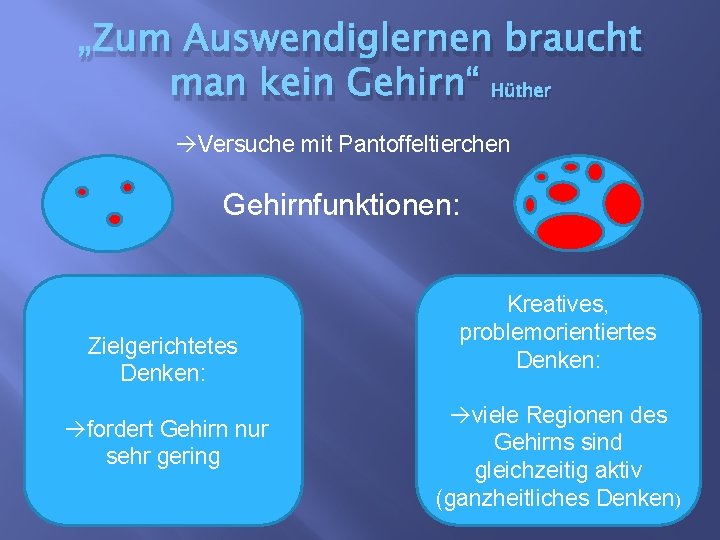 „Zum Auswendiglernen braucht man kein Gehirn“ Hüther Versuche mit Pantoffeltierchen Gehirnfunktionen: Zielgerichtetes Denken: fordert