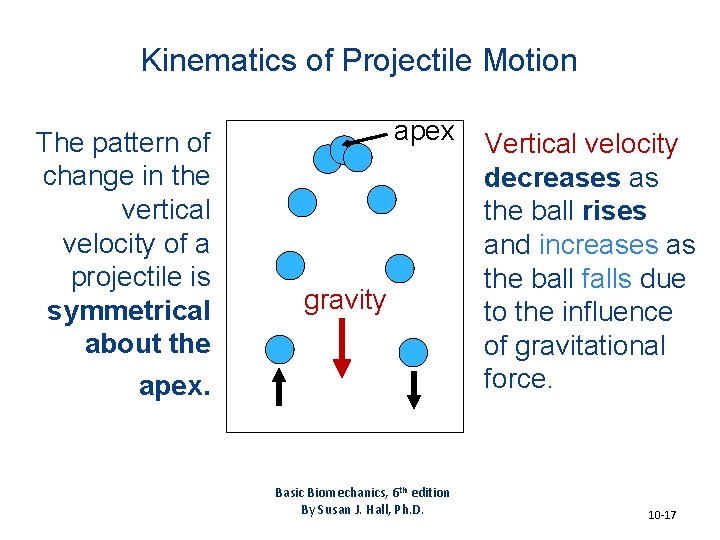 Kinematics of Projectile Motion The pattern of change in the vertical velocity of a Kinematics of Projectile Motion The pattern of change in the vertical velocity of a