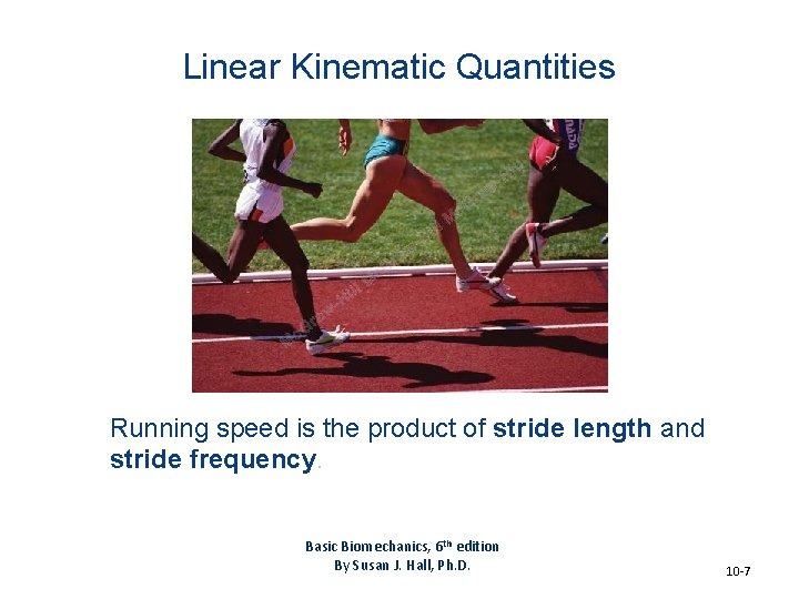 Linear Kinematic Quantities Running speed is the product of stride length and stride frequency. Linear Kinematic Quantities Running speed is the product of stride length and stride frequency.