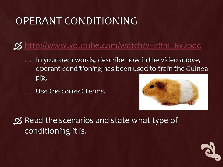 OPERANT CONDITIONING http: //www. youtube. com/watch? v=z 8 n. L-Bv 2 oqc … In OPERANT CONDITIONING http: //www. youtube. com/watch? v=z 8 n. L-Bv 2 oqc … In