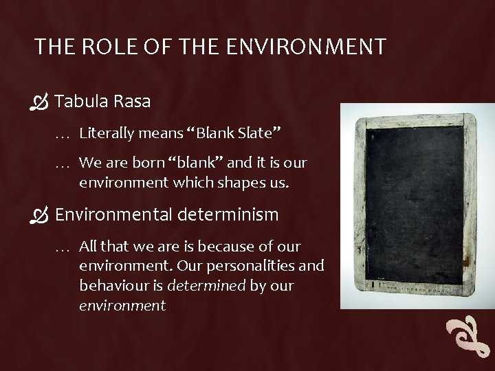 THE ROLE OF THE ENVIRONMENT Tabula Rasa … Literally means “Blank Slate” … We