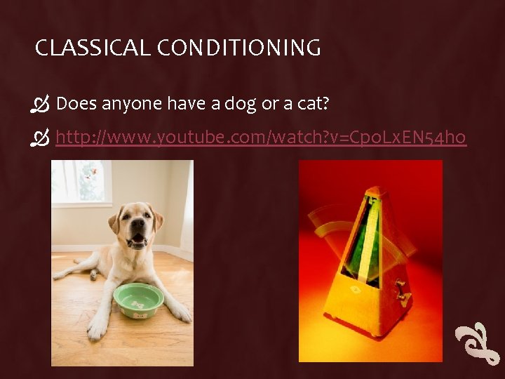 CLASSICAL CONDITIONING Does anyone have a dog or a cat? http: //www. youtube. com/watch? CLASSICAL CONDITIONING Does anyone have a dog or a cat? http: //www. youtube. com/watch?