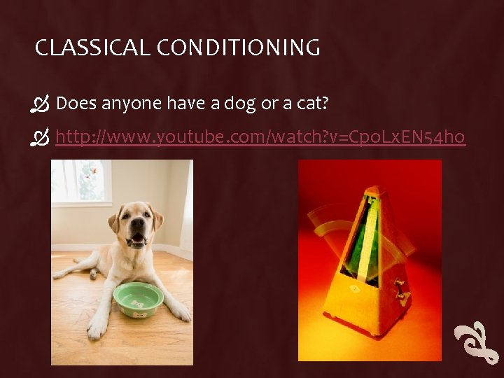 CLASSICAL CONDITIONING Does anyone have a dog or a cat? http: //www. youtube. com/watch?