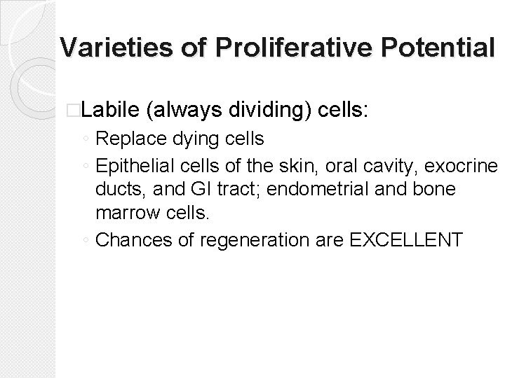 Varieties of Proliferative Potential �Labile (always dividing) cells: ◦ Replace dying cells ◦ Epithelial