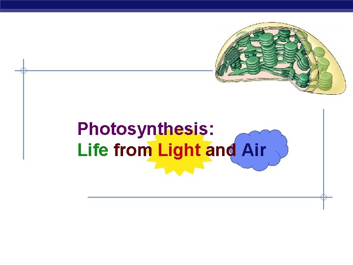 Photosynthesis: Life from Light and Air 