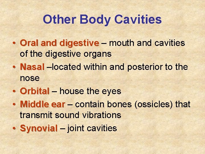 Other Body Cavities • Oral and digestive – mouth and cavities of the digestive Other Body Cavities • Oral and digestive – mouth and cavities of the digestive