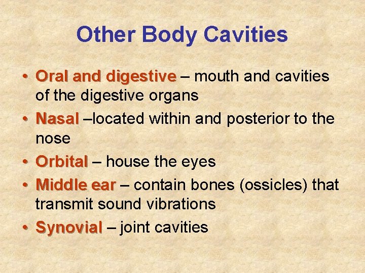 Other Body Cavities • Oral and digestive – mouth and cavities of the digestive