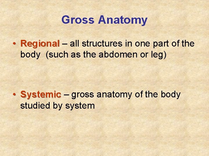 Gross Anatomy • Regional – all structures in one part of the body (such