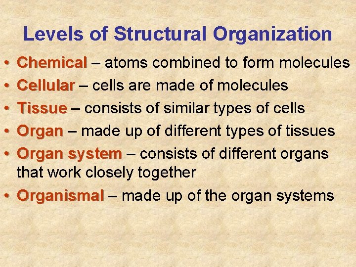 Levels of Structural Organization • • • Chemical – atoms combined to form molecules