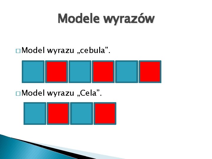 Modele wyrazów � Model wyrazu „cebula”. � Model wyrazu „Cela”. 