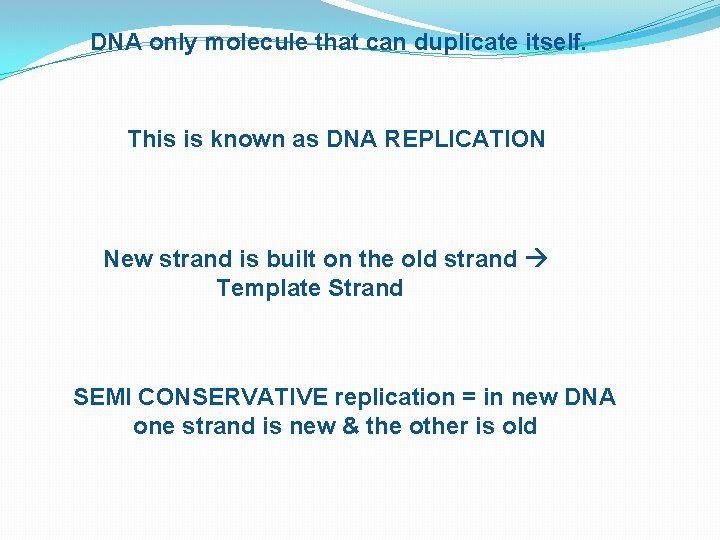DNA only molecule that can duplicate itself. This is known as DNA REPLICATION New