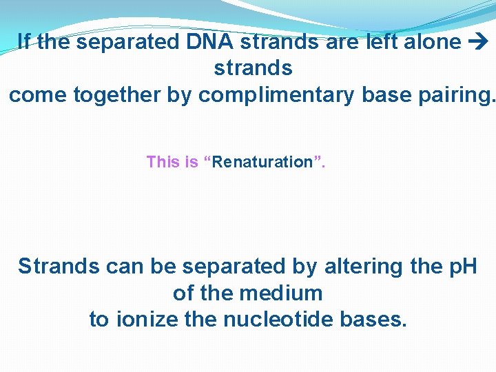 If the separated DNA strands are left alone strands come together by complimentary base