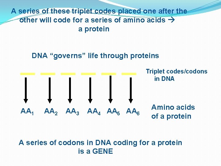 A series of these triplet codes placed one after the other will code for