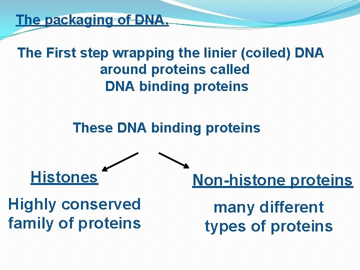 The packaging of DNA. The First step wrapping the linier (coiled) DNA around proteins