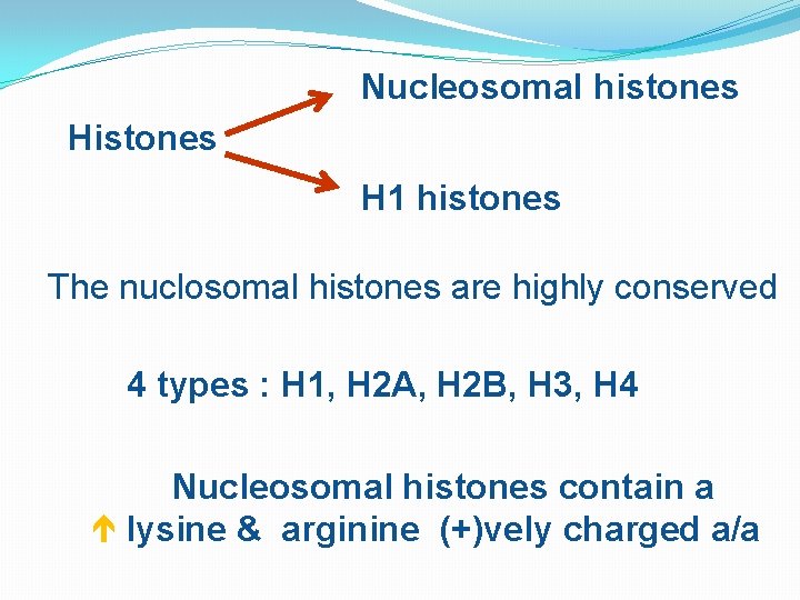 Nucleosomal histones H 1 histones The nuclosomal histones are highly conserved 4 types :