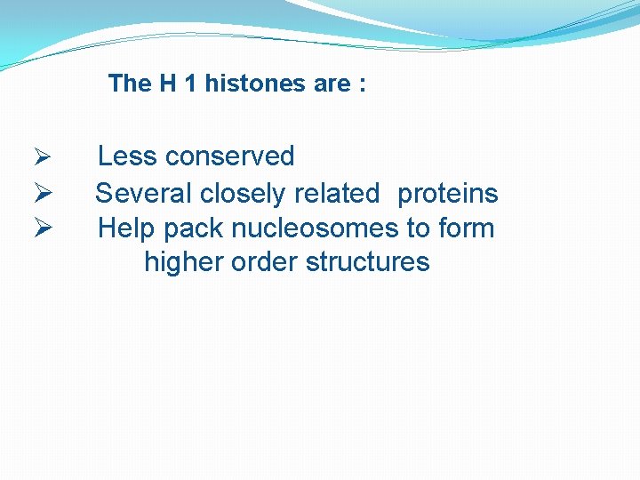 The H 1 histones are : Ø Ø Ø Less conserved Several closely related