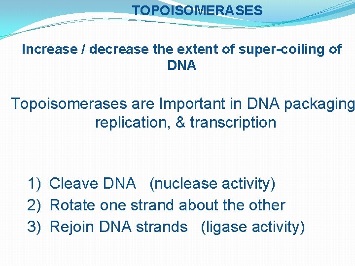TOPOISOMERASES Increase / decrease the extent of super-coiling of DNA Topoisomerases are Important in