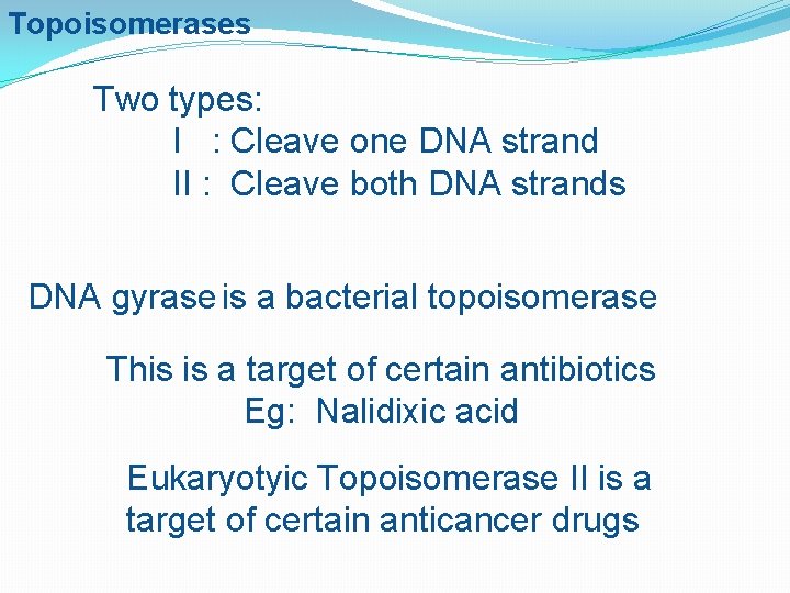 Topoisomerases Two types: I : Cleave one DNA strand II : Cleave both DNA
