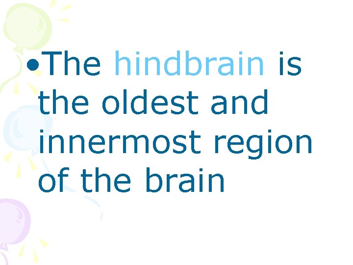  • The hindbrain is the oldest and innermost region of the brain 