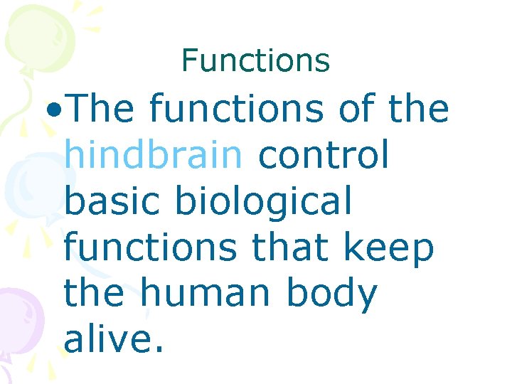 Functions • The functions of the hindbrain control basic biological functions that keep the