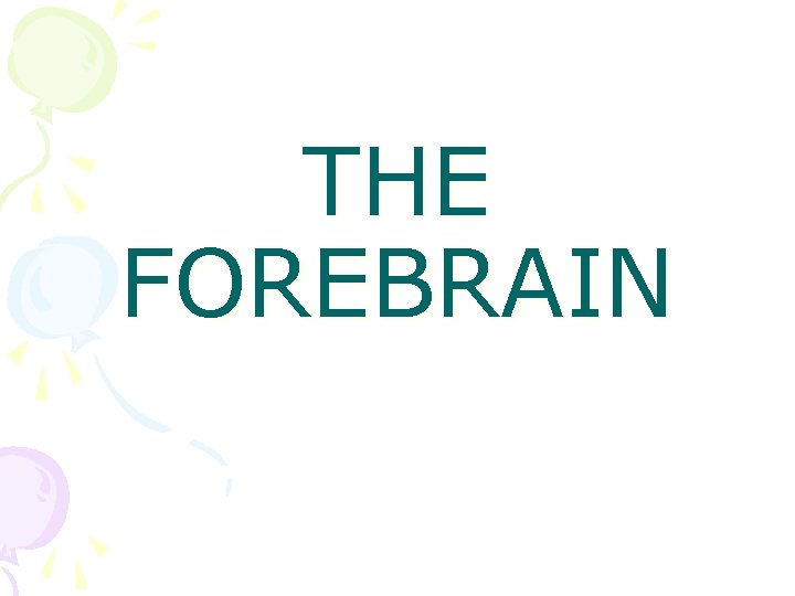 THE FOREBRAIN 