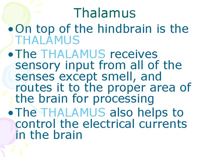 Thalamus • On top of the hindbrain is the THALAMUS • The THALAMUS receives