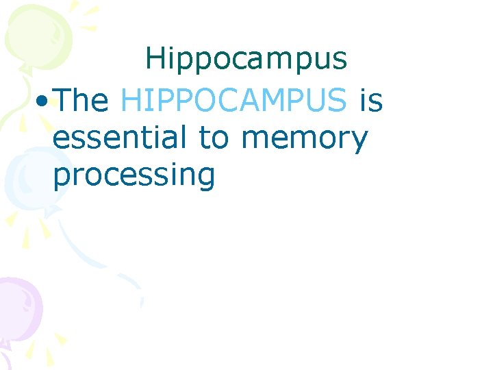 Hippocampus • The HIPPOCAMPUS is essential to memory processing 