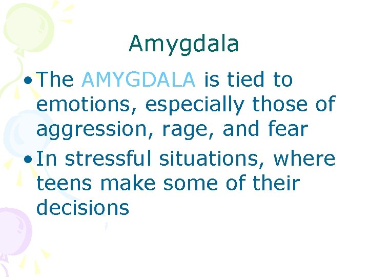 Amygdala • The AMYGDALA is tied to emotions, especially those of aggression, rage, and