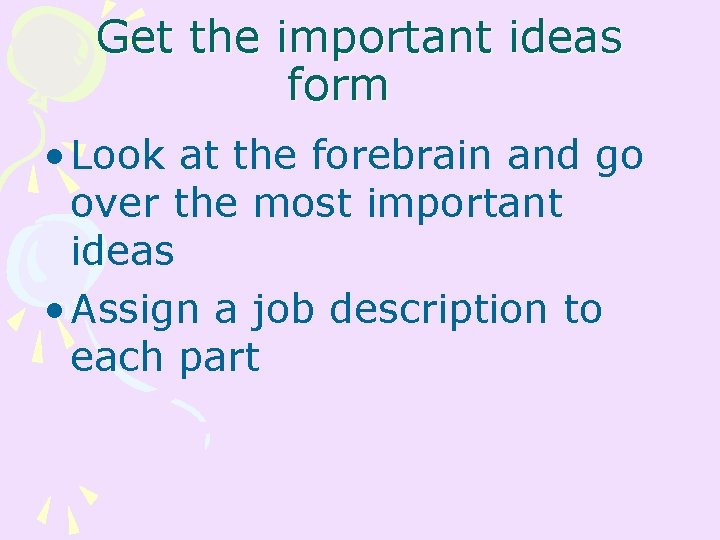 Get the important ideas form • Look at the forebrain and go over the