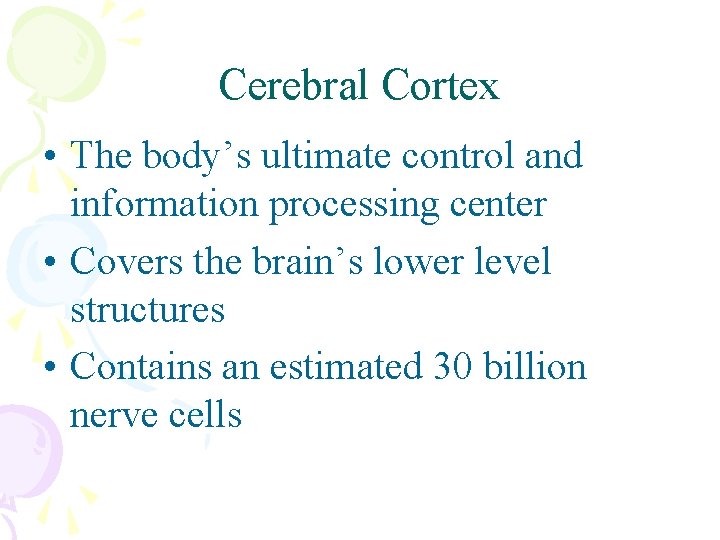 Cerebral Cortex • The body’s ultimate control and information processing center • Covers the