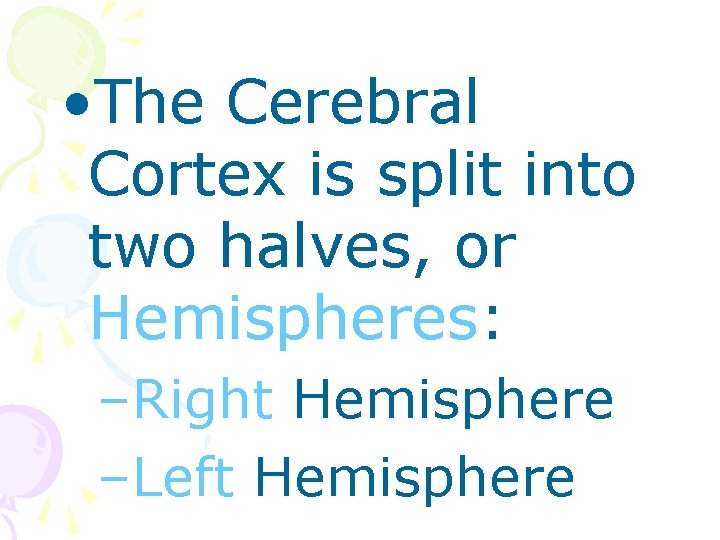  • The Cerebral Cortex is split into two halves, or Hemispheres: –Right Hemisphere