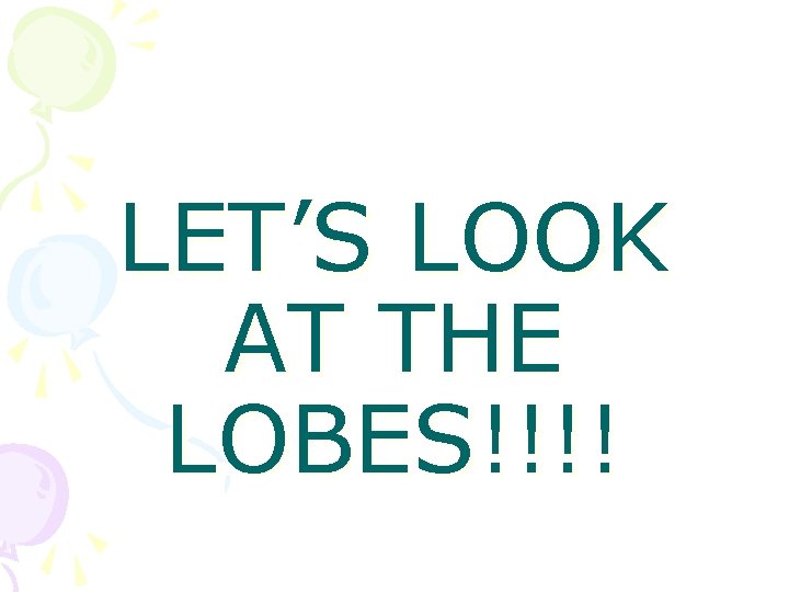 LET’S LOOK AT THE LOBES!!!! 