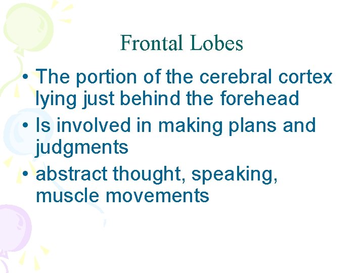 Frontal Lobes • The portion of the cerebral cortex lying just behind the forehead