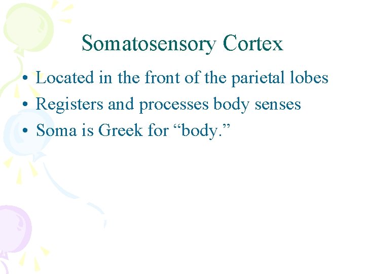 Somatosensory Cortex • Located in the front of the parietal lobes • Registers and