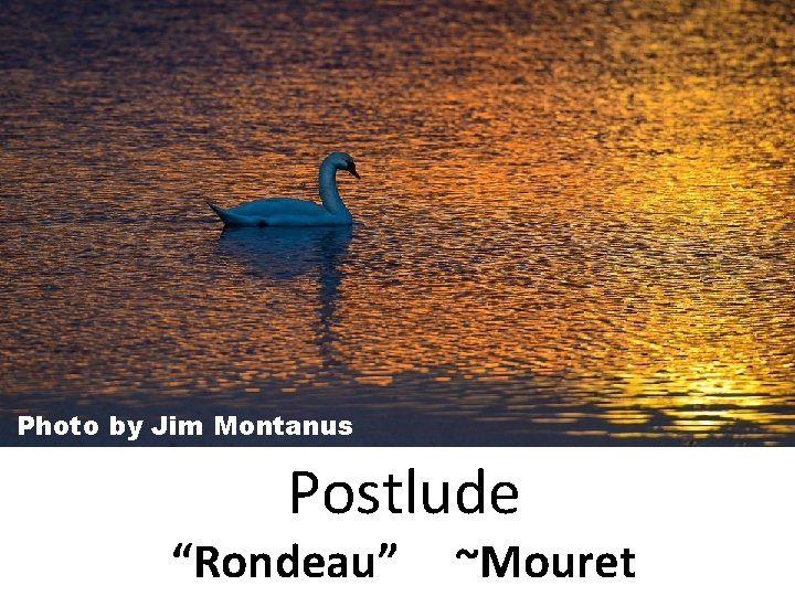 Photo by Jim Montanus Postlude “Rondeau” ~Mouret 