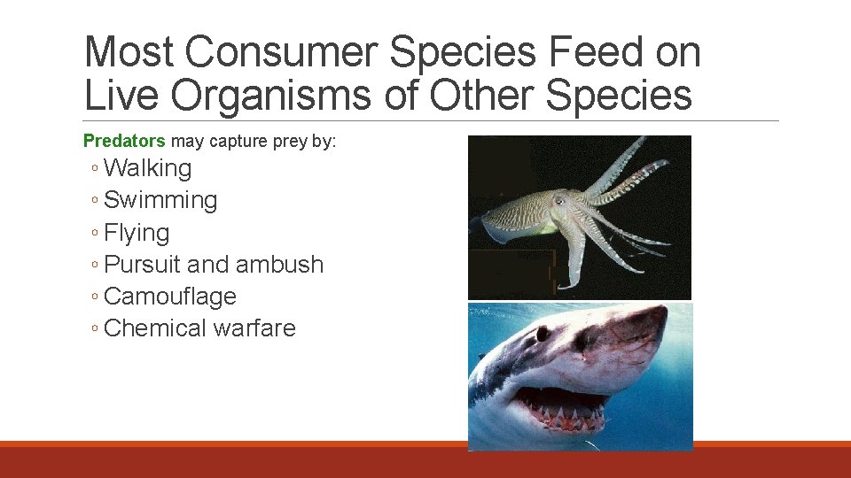 Most Consumer Species Feed on Live Organisms of Other Species Predators may capture prey