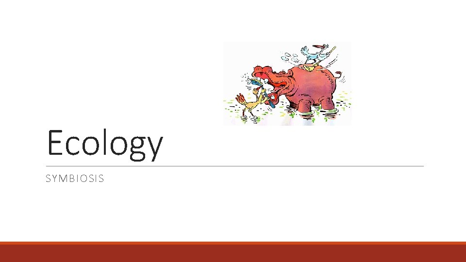 Ecology SYMBIOSIS 