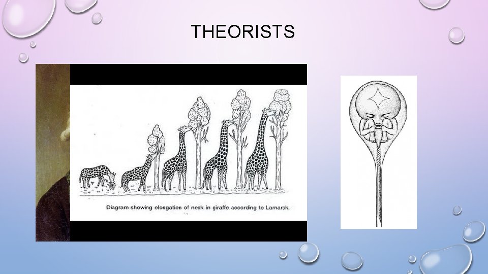 THEORISTS 