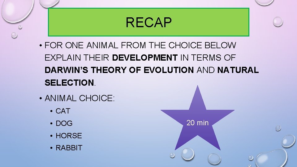 RECAP • FOR ONE ANIMAL FROM THE CHOICE BELOW EXPLAIN THEIR DEVELOPMENT IN TERMS